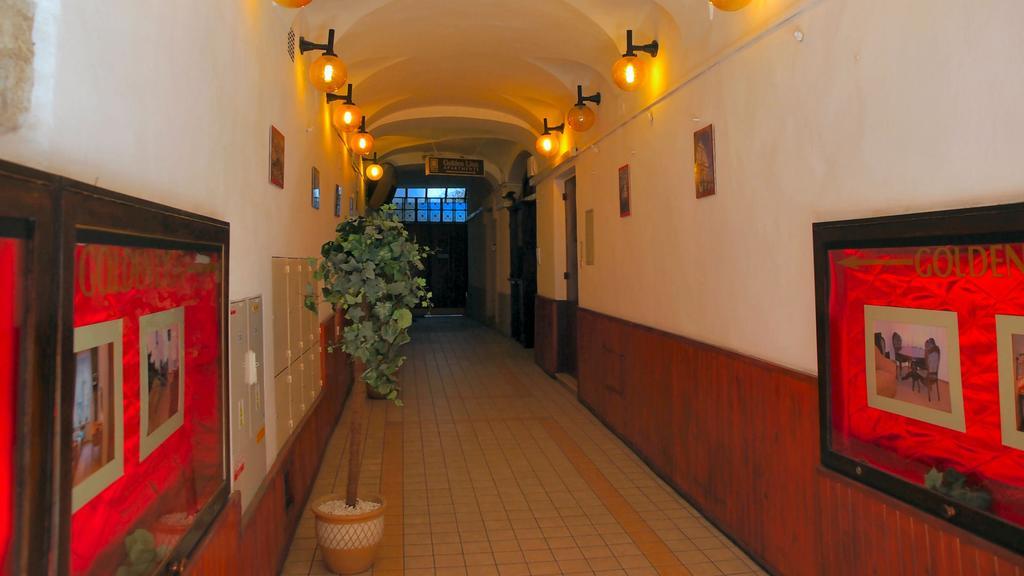 Golden Lion Guest Rooms Szewska 19 Cracovia Esterno foto